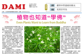 [电子期刊]2012年11月8日