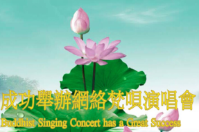 🎥大密网络梵呗演唱会盛况