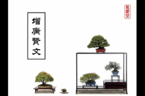 增广贤文