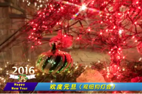 [视频]欢度2016元旦之纽约灯会