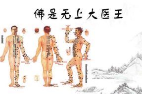 《学佛与排毒》导读