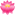 最近更新