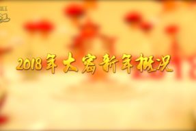 🎥2018年大密新年庆祝活动简报
