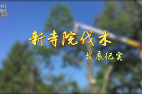 [视频]新寺院伐木——发展纪实