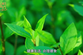 [视频]蜂蜜的妙用