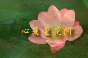 [舞蹈]心是莲花开