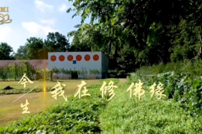 [舞蹈]今生我在修佛缘
