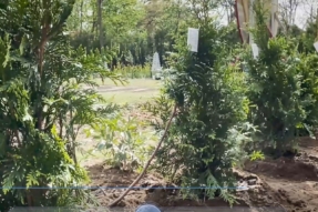 功德绿荫，福泽绵长——致捐赠植树善款的学友