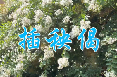 插秧偈