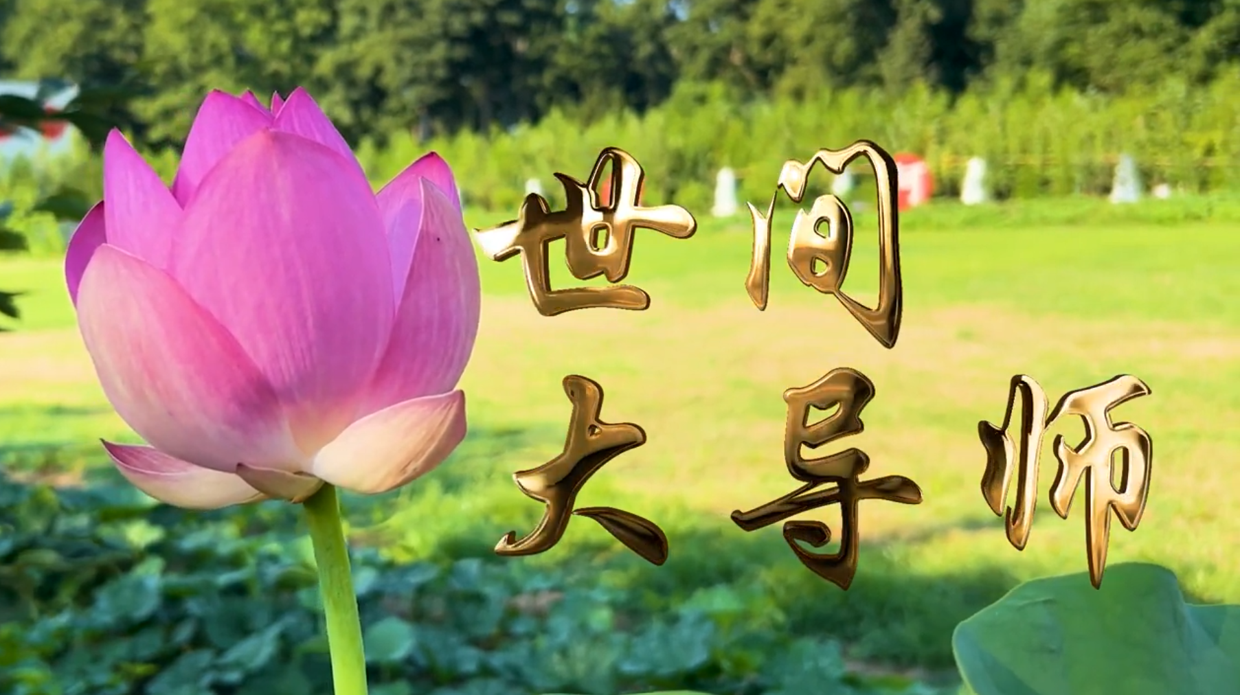 舞蹈 世间大导师