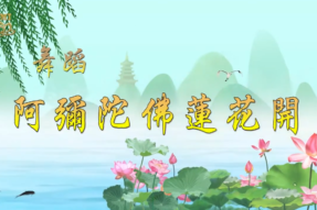 [舞蹈] 阿弥陀佛莲花开
