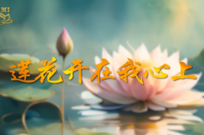 [舞蹈]莲花开在我心上