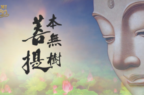 [舞蹈] 菩提本无树